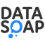 Data Soap logo