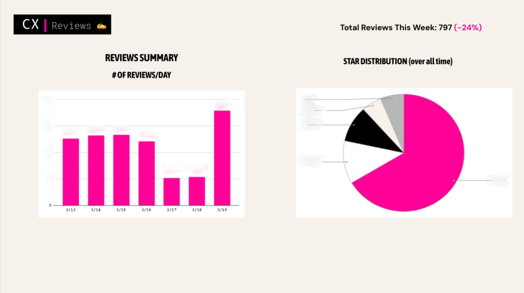 Reviews Reporting Template Example